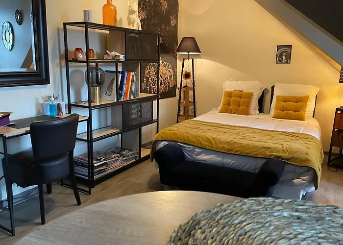 Studio Douillet Centre Vitre -Tout A Pied