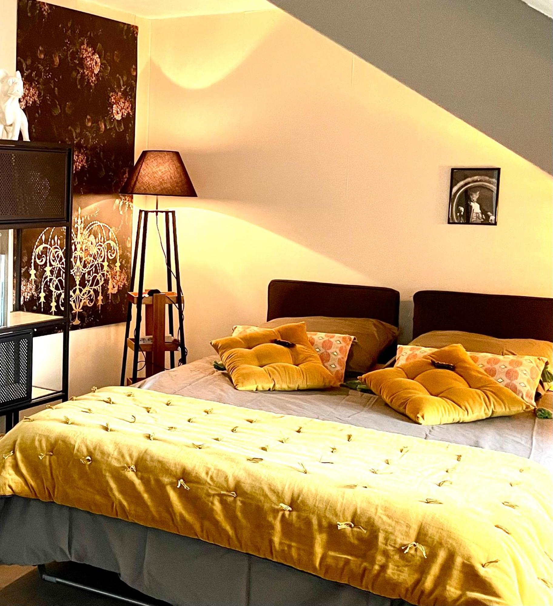 Douillet Centre -tout A Pied Appartement Vitré